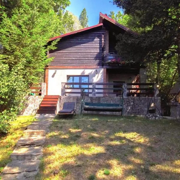 Mountain Family Chalet on Prahova Valley - 1000 sqm private yard, מלון בקומרניק