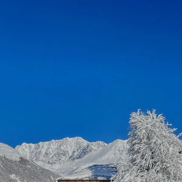 Alpine Guesthouse in Svaneti Tsana, hotel in Tsʼana