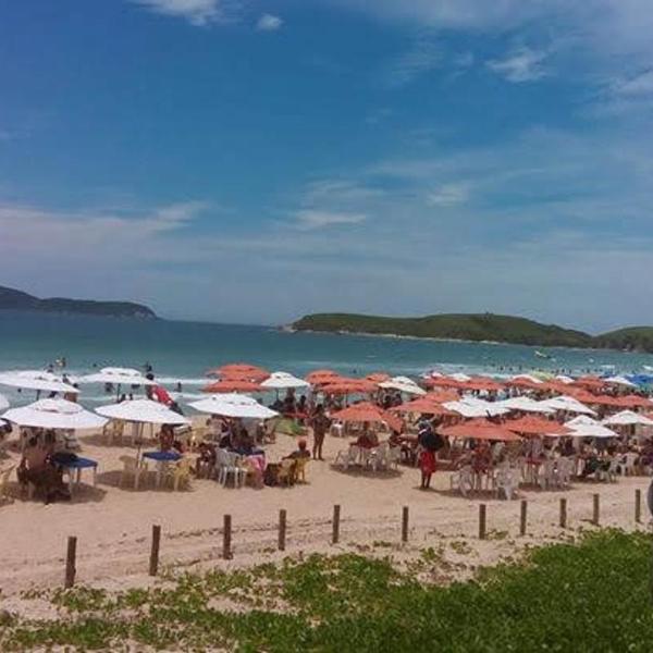 Pássaro do Mar - Foto 5