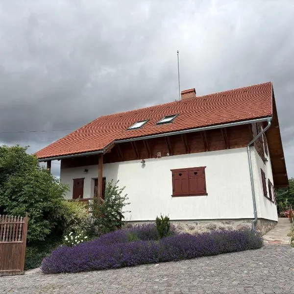 Eszter Guesthouse, хотел в Sîncrăieni