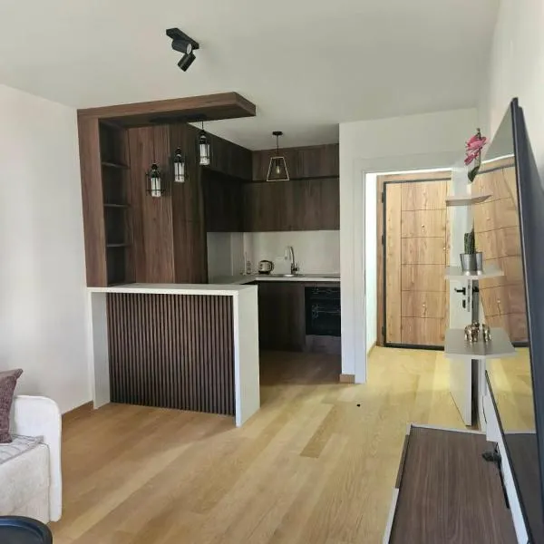 Apartman Marija IV, hotel in Vrnjačka Banja