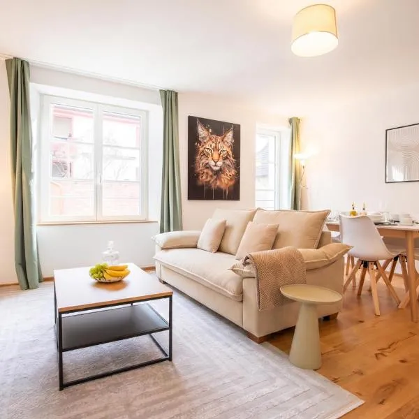 Modern Apartment in Central Basel near Rhine - Special TOP LUX 12 Apartment, up to 2 guests, hotell sihtkohas Basel