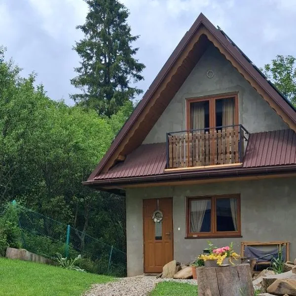 Domek na Górce, hótel í Zakopane