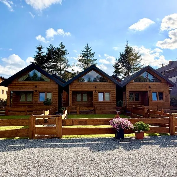 Pod Bieszczadzkim Niebem, hotel v destinácii Lutowiska