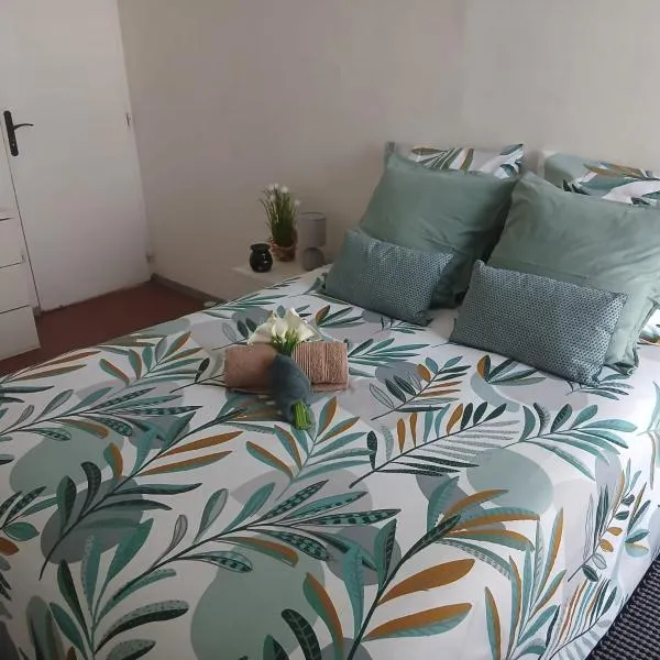 le Petit Cocon !, hotel din Pointe-à-Pitre