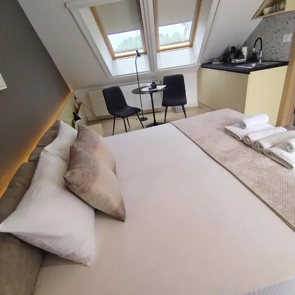 Vila Karlovčanka savršen boravak u srcu grada, hotel Karlócán