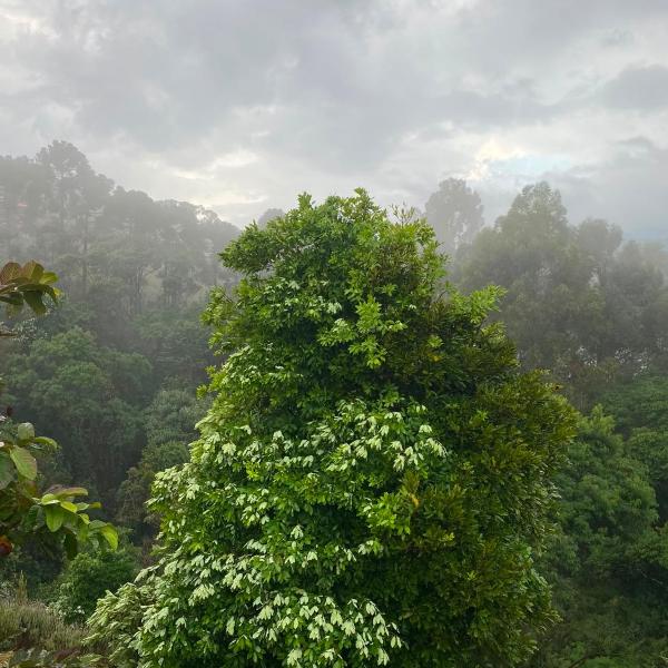 Iamam Puri - Sauna com vista para as montanhas - Foto 2