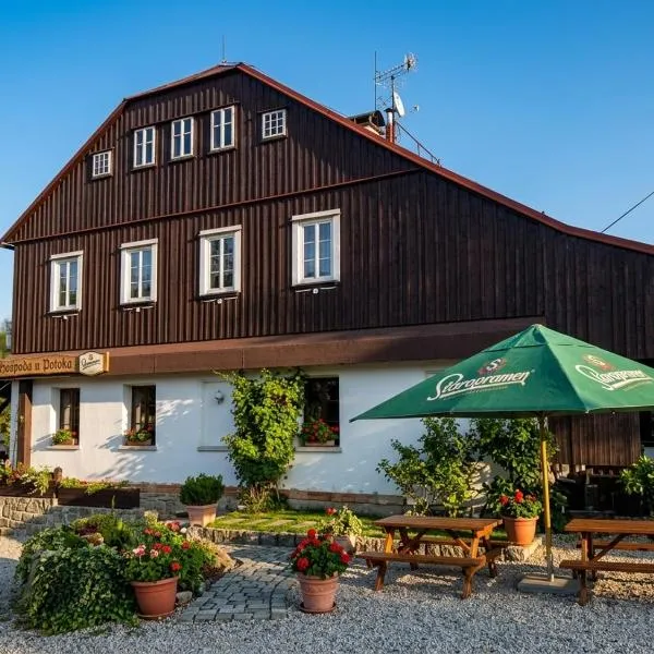 Když nevíte kam, přijeďte k nám penzion D'Artagnan, hotel in Kořenov