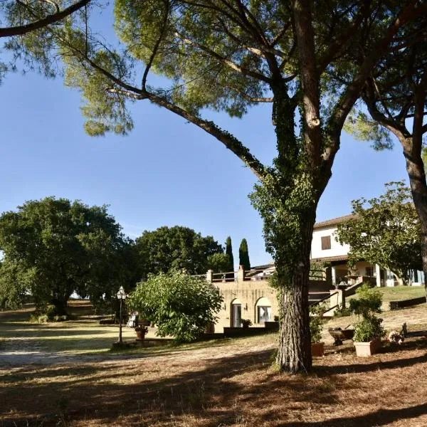 Casa Vacanze Madrechiesa, hotell i Scansano