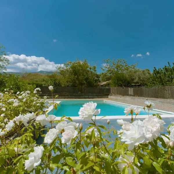 Cave Ox Rooms, hotel in Solicchiata