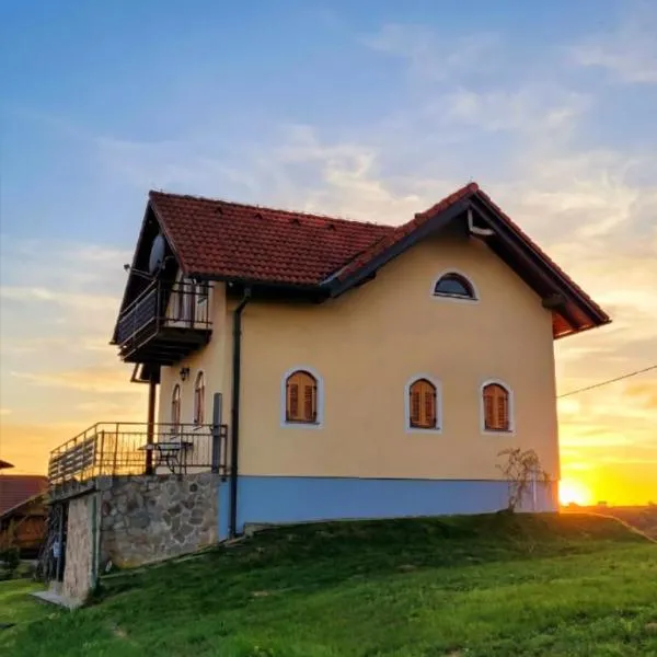Villa Nives, wine region Jeruzalem, отель в городе Ivanjkovci