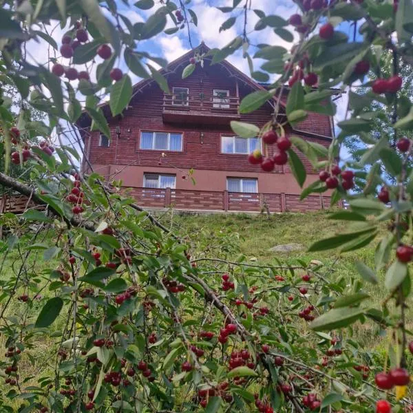 Pensiunea Cabana Viselor ,Apuseni, hotel en Vadu Moţilor