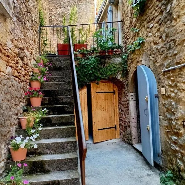 Grande maison en pierre au coeur du village provençal du XIe siecle 10 personnes, hotel em Saint-André-de-Roquepertuis