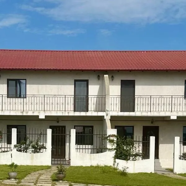 Villa Tasaul, ξενοδοχείο σε Năvodari