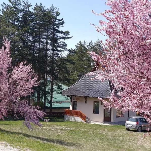 Kuća za odmor Lavanda, hotell i Sirogojno