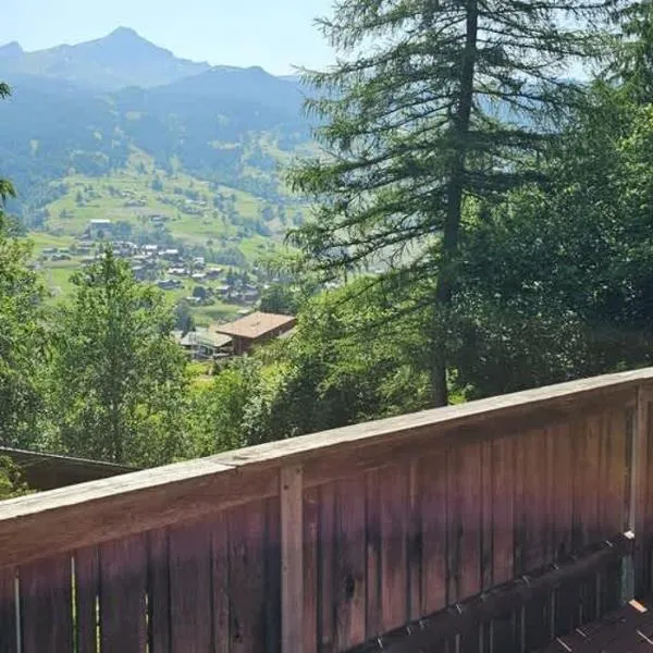 Peak Apartment - Aare Jungfrau AG: Grindelwald'da bir otel
