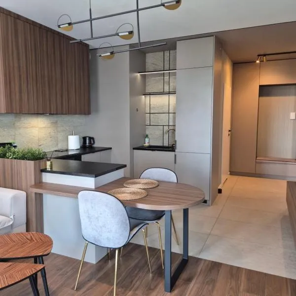 SOKOLSKA 30 TOWERS apartments - KLIMATYZACJA- LUX- PARKING- SAUNA- GYM -and the BEST VIEW, hotel in Katowice