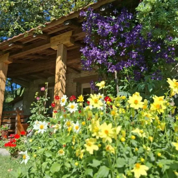 Artistic Garden House, hotel in Cetinje