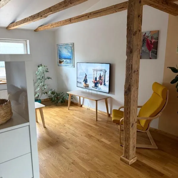 Family Retreat Loft Apartment, hotel in Liepāja