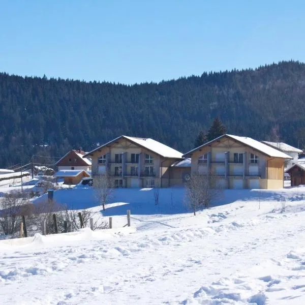 Appartement accueillant à Xonrupt-Longemer 70 m² avec jardin privatif, Hotel in Xonrupt-Longemer