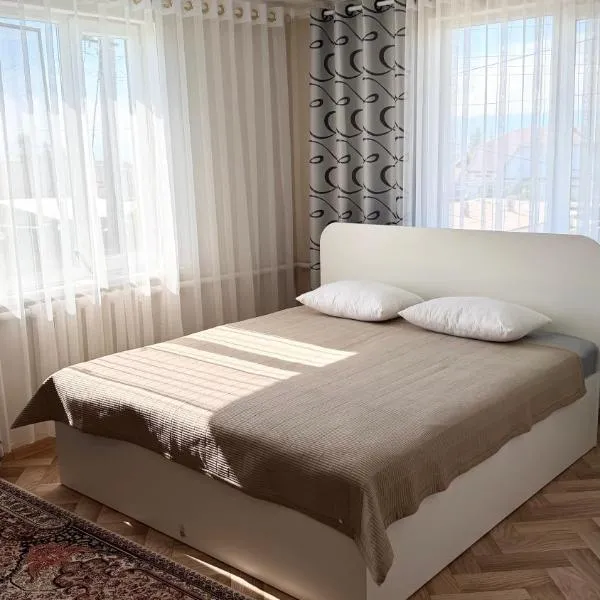 Guest House Karakol、カラコルのホテル