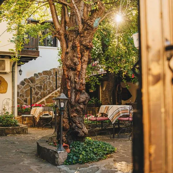 Oazis Family Hotel, готель у місті Ловеч