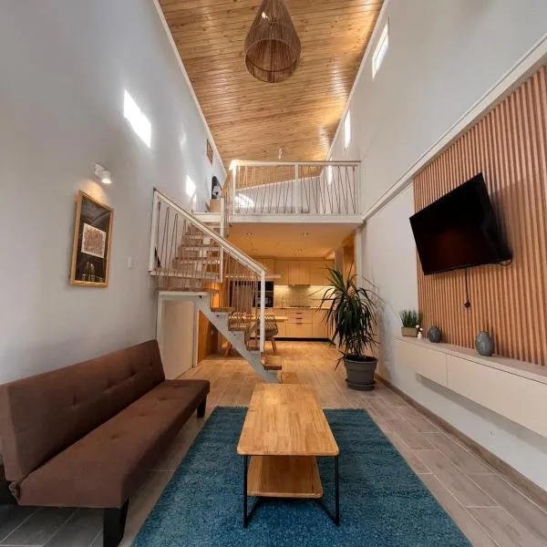 Aconcagua Urban Loft, hotelli kohteessa San Felipe