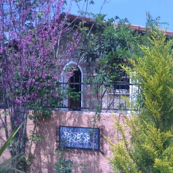 Fig Garden Cottages, hotel v destinaci Kayakoy