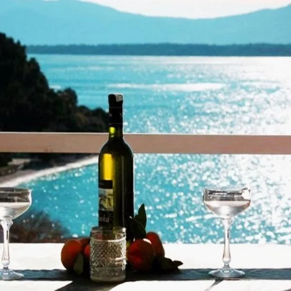 Borovik Guest House, hotel v destinaci Živogošće