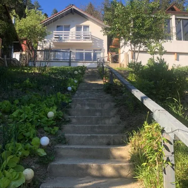 Casa din gradina, hotel in Poiana Mărului