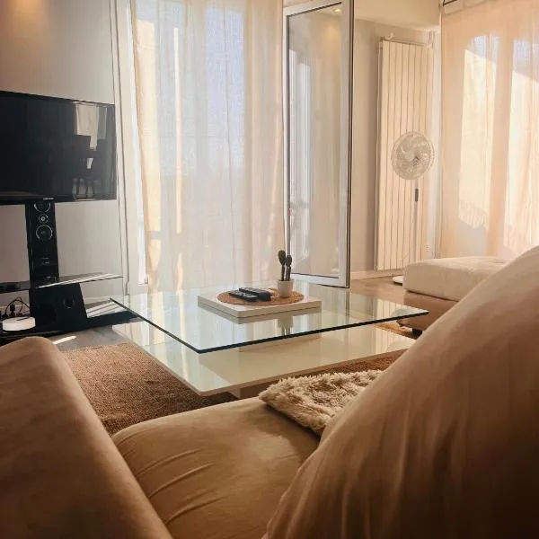 Grand appartement - spacieux- proche gare et centre ville, Hotel in Montauban