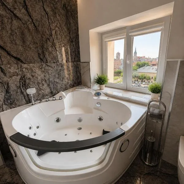 Flatiron Jacuzzi Apartment Old Town Toruń, hotel en Toruń