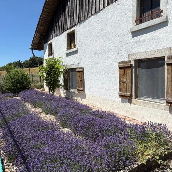 la ferme de la gaby, hotel em Le Noirmont