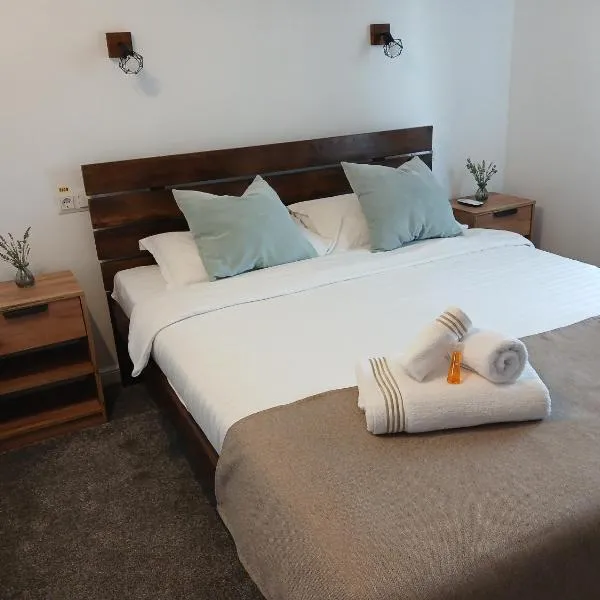 Casa Vonvea, hotel di Ocna Şugatag