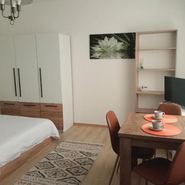 Downtown Crib, hotel v destinaci Arad