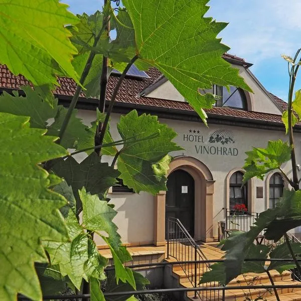 Hotel Vinohrad, hotel en Milotice
