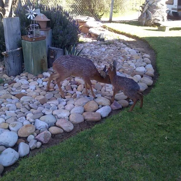 Grysbok Self Catering Accommodation, hotell i Vleirivier