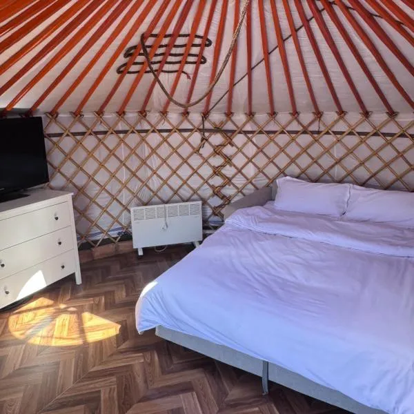 Mongolian traditional house Ger, hotell i Dzuunmod