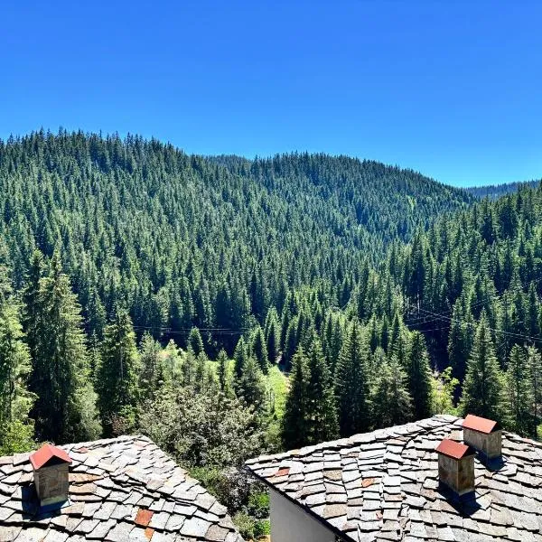 Къща за гости - Monte Green, hotel Progledban