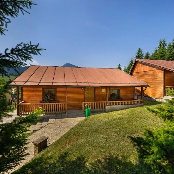 Hotel Orava - Bungalovy, hotel in Dolný Kubín