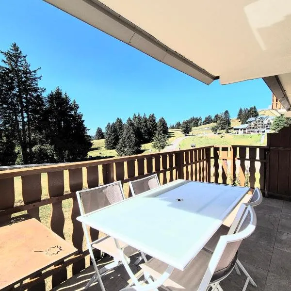 Superbe appartement au pied des pistes -Le chamois, хотел в Les Déserts