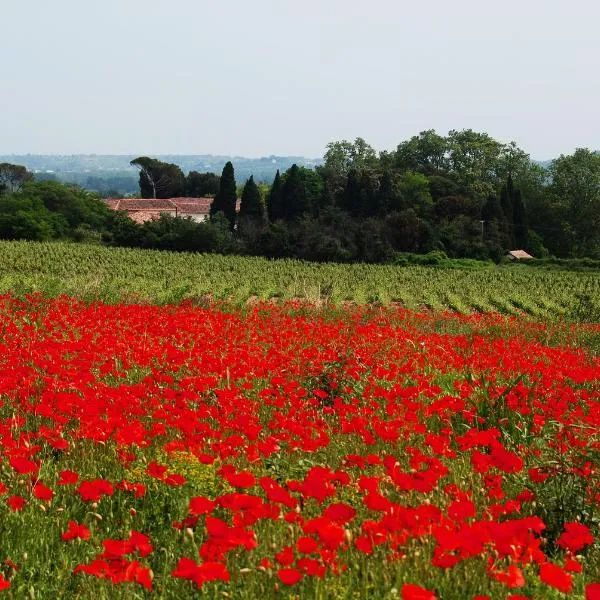 Domaine Saint Ferreol, hotel in Nizas