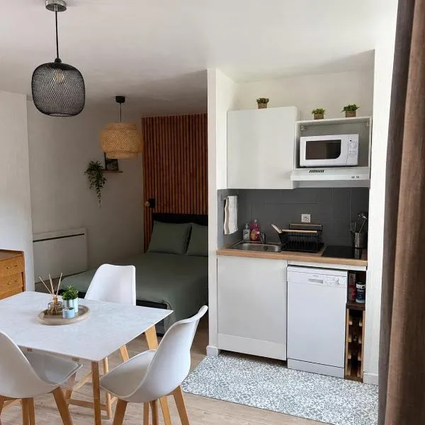 Bagnères-de-Bigorre में, होटल Appartement chaleureux au centre de Bagnères