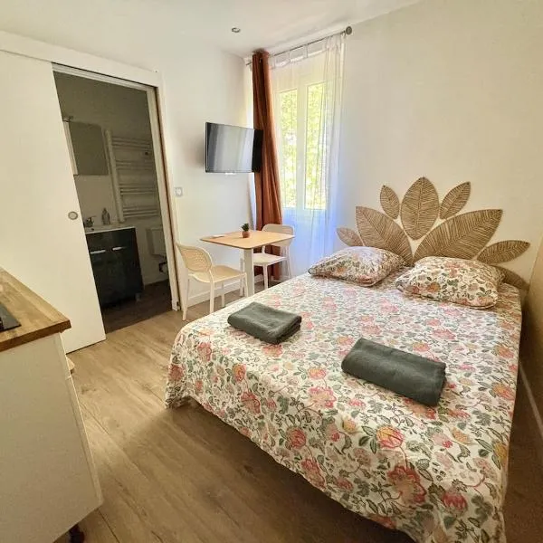 Coudert VI l Petit Studio Climatisé Hyper Centre, hotell i Castres