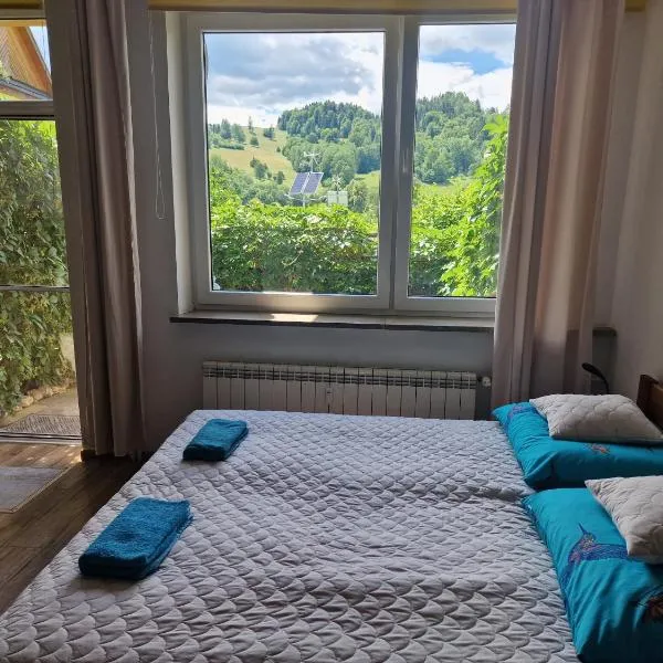 Zielona Przystań Apartament z widokiem na Pieniny, hotelli kohteessa Jaworki