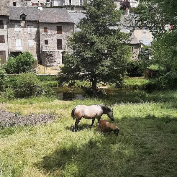 Serverette में, होटल Maison de village Base-rando Margeride 1 Appart 6 personnes et 1 Duplex 8 personnes