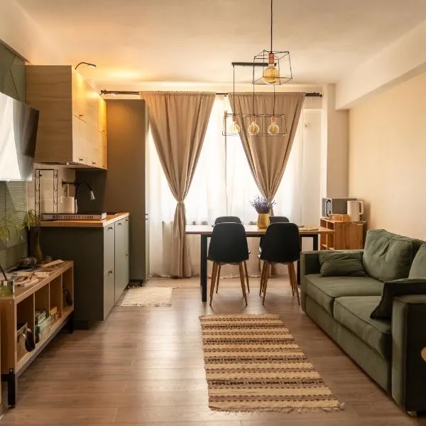 CITADEL VIEW, hotel u gradu Targu Njamc