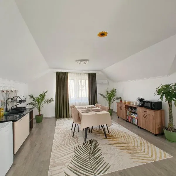Chill Garden House, khách sạn ở Satu Mare