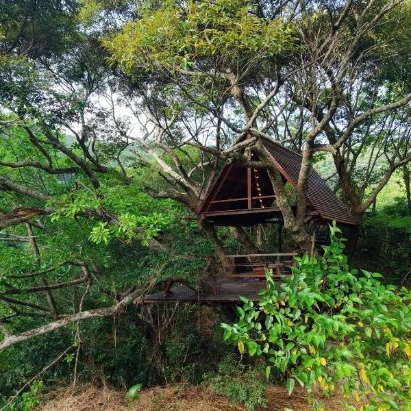 Yambaru Wild Treehouse Kidzy, hotel en Takee