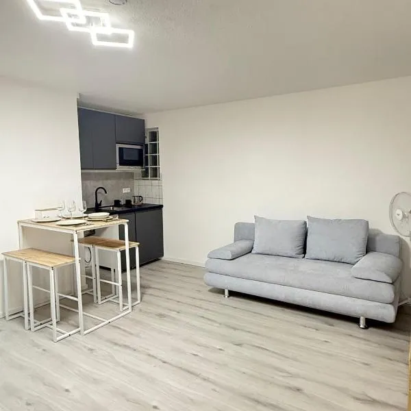 Schöne 1 Zimmer Apartment Mercedes Museum & Arena، فندق في شتوتغارت